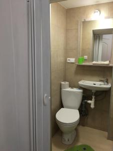 ein Bad mit einem WC und einem Waschbecken in der Unterkunft Penzion 103 in Železná Ruda
