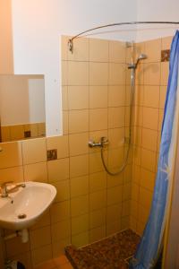 a bathroom with a shower and a sink at Gallery Guest Rooms in Kernavė