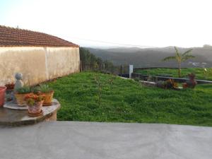 Blick auf einen Garten mit Pflanzen im Hof in der Unterkunft Casal do Avô Francisco in Caldas da Rainha