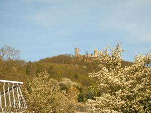 a castle on top of a hill with trees at Ferienwohnung Schlossblick in Bensheim