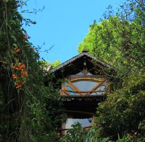 a building obscured by bushes and trees at Finca Chamanapamba Guest House in Baños