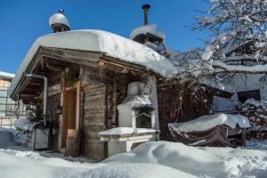 Cabaña cubierta de nieve con techo cubierto de nieve en Aparthotel Steger Wagrain, en Wagrain