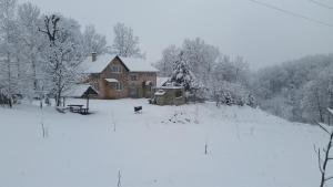 Foto dalla galleria di Fazenda Kosiv a Kosiv