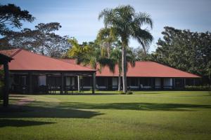 a building with a palm tree in the yard at Aguapé Lodge in Colonia Carlos Pellegrini