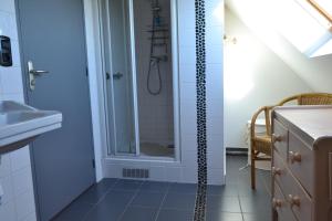 La salle de bains est pourvue d'une douche et d'un lavabo. dans l'établissement Gîtes Les Salicornes, à Dragey-Ronthon