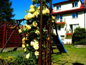 roślina wspinaczkowa z żółtymi kwiatami i zjeżdżalnią w obiekcie Dom Wczasowy Olivia w Ustce