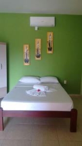 a green bedroom with a bed with a green wall at Dáriu's Pousada in Prea +45 photos