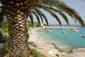 Fotografie z fotogalerie ubytování Apartments Ivanko v destinaci Zavala