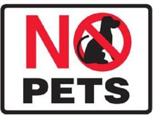 a sign that says no pets with a picture of a dog at Mt. Revelstoke Alpine Chalets in Revelstoke
