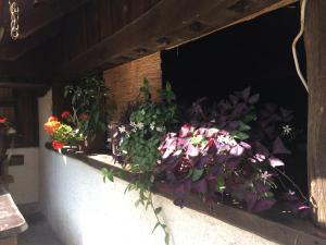 Gallery image of Gostišče Smuk in Križe