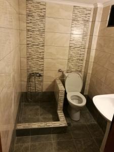 a bathroom with a toilet and a sink at Erofili in Pefkochori
