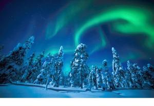 an aurora over a snow covered forest with trees at Koskikatu Apartment in Rovaniemi