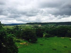 un champ vert planté d'arbres par jour nuageux dans l'établissement Mason's Arms, à Bowland Bridge