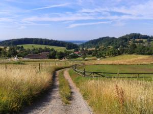 a dirt road in a field with a fence at FeWo Darsberg in Neckarsteinach