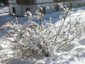 Hotel Villa Ines during the winter