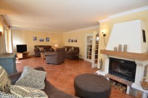 a living room with a couch and a fireplace at Haus Marikkendörp in Middelhagen