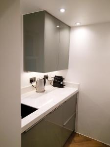 Vonios kambarys apgyvendinimo įstaigoje Modern 1 Bedroom Apartment in Kensington