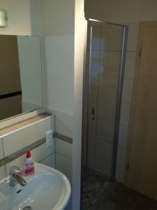 a bathroom with a sink and a shower with a mirror at Ferienhaus Bielenski in Blankenburg