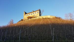 Fotografie z fotogalerie ubytování Hotel & Restaurant Schloss Schwandegg v destinaci Oberstammheim