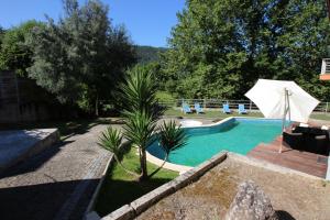 a swimming pool with an umbrella and a palm tree at Casa de Paredes Secas by Gerês Casas in Amares