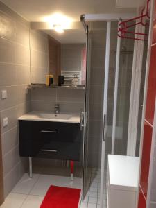 a bathroom with a sink and a shower at Horizon Vauban in Briançon