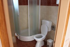 a bathroom with a toilet and a shower at Mikulin Apartments in Lumbarda