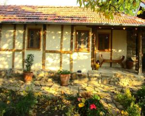 Κήπος έξω από το Lavender Lodge +11 φωτογραφίες