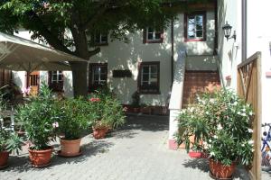 un grupo de plantas en macetas frente a un edificio en Hotel - Ristorante La Grotta, en Speyer