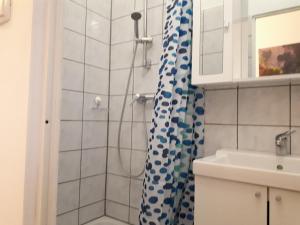 ウィーンにあるBeautiful apartment near the centreのバスルーム(青と白のシャワーカーテン付きのシャワー付)