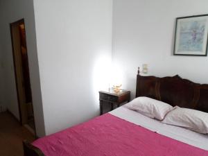 1 dormitorio con 1 cama con manta rosa en Rustico & Singelo - Hotelaria e Restauração, Lda en Vila Real