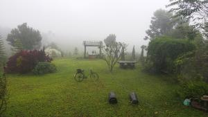 Ein Garten an der Unterkunft Baan Ing Phu บ้านอิงภู