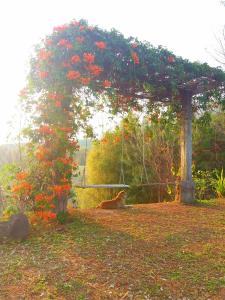 Zahrada ubytování Baan Ing Phu บ้านอิงภู