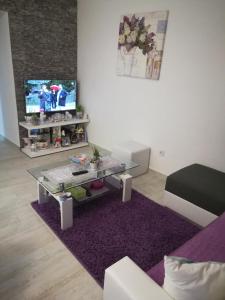 TV a/nebo společenská místnost v ubytování Apartment Nana