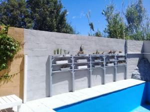 a concrete wall with three plants on it next to a pool at Altos del Valle in San Agustín de Valle Fértil