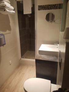 a bathroom with a toilet and a sink and a shower at Logis - Hôtel du Nord et Restaurant La Table d'Elisa in Compiègne +21 photos
