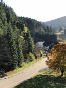 un camino vacío con árboles a un lado de una colina en Decker's Bio Hotel zum Lamm, en Baiersbronn