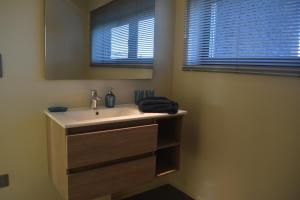 ハッセルトにあるAppartroom Hasseltのバスルーム(洗面台、鏡付)