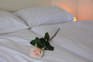 a pink rose sitting on top of a white bed at Apartments Apolon Izola in Izola