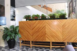a wooden reception desk with potted plants on top of it at Casa Zapopan Hotel in Guadalajara