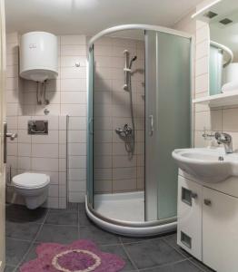 ズラティボールにあるApartman Aspenのシャワー、トイレ、洗面台を備えたバスルーム