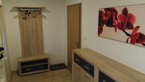 Fotografie z fotogalerie ubytování APARTMÁNY NA VÝSLUNÍ v destinaci Horní Maxov
