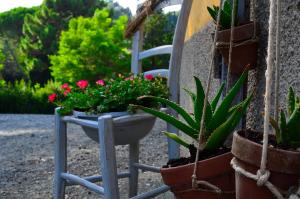 Zahrada ubytování Casa Vacanze "L'Aione"