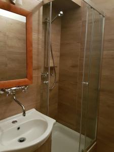 チェンストホヴァにある42-200 Hostelのバスルーム(洗面台、ガラス張りのシャワー付)