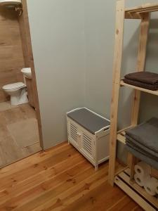 Pokój z łóżkiem piętrowym z grzejnikiem i toaletą w obiekcie 42-200 Hostel w mieście Częstochowa