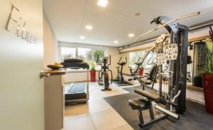 Fitness centrum a/nebo fitness zařízení v ubytování Hotel Monika