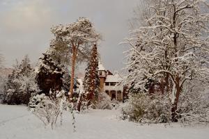 une cour recouverte de neige avec des arbres et une maison dans l'établissement Villa Castelul Maria, à Banpotoc