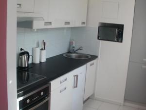 a small kitchen with a sink and a refrigerator at Apartmán Abertamy Krušné hory in Abertamy