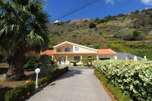 una casa amarilla con una palmera y un camino de entrada en Villa Atlântico, en Ponta do Sol