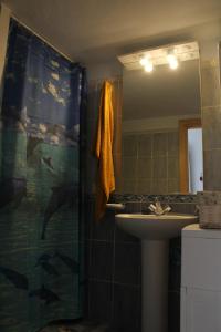 バジェエルモソにあるCasa La Hagarのバスルーム(洗面台、イルカのシャワーカーテン付)