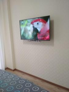 a television hanging on a wall with a parrot on it at Morskaya zhemchuzhina na Marselskoy in Kryzhanivka